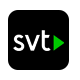fleet iptv STV